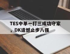 开云电子-TES中单一打三成功守家，DK遗憾止步八强