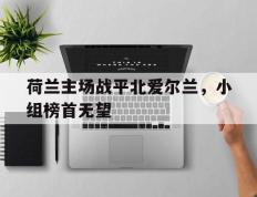开云登录入口-荷兰主场战平北爱尔兰，小组榜首无望