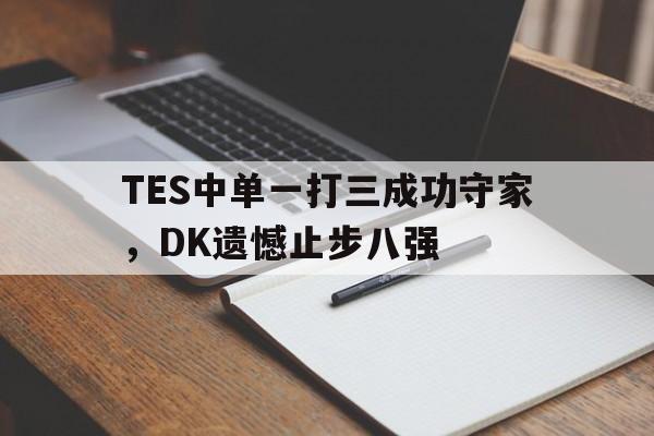 开云电子-TES中单一打三成功守家，DK遗憾止步八强